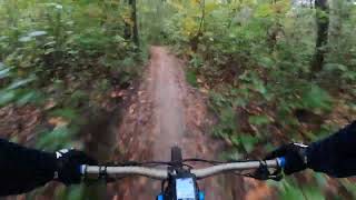 Mtb trails Rhenen [upl. by Edmond581]