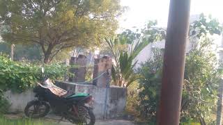 idno1120Ragavan real estate padappai low budjet 4 plots [upl. by Krasner]