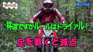 Montesa COTA 4RTで林道ツーリング Ver2 [upl. by Nysilla852]