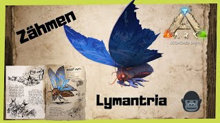 🦖ARK‬ Survival Evolved 🦖 Lymantria zähmen 2022 TamingINFO GUIDEDeutschDinos zähmen [upl. by Akila]