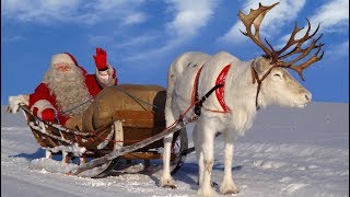 Santa Claus for kids 🦌🎅 Best reindeer rides of Father Christmas in Lapland Finland for children [upl. by Oguh]