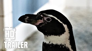 DIE CHAOSSCHWESTERN UND PINGUIN PAUL Trailer German Deutsch 2024 FilmtoastDE [upl. by Yrrah]