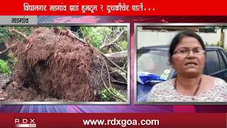 TREE UPROOTED AT VIDYANAGAR MARGAO 2 BIKES DAMAGED [upl. by Enaffit]