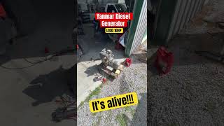 Yanmar L100 Diesel Generator is alive diesel yanmar generator [upl. by Ignacia]