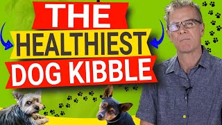 How To Pick The Healthiest Kibble For Dogs 5 Things A Kibble Must Have [upl. by Rimat]