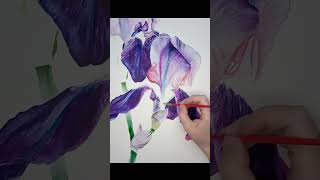 Timelapse drawing Lilac irises flowers in watercolor painting timelapspainting art creation [upl. by Sayres]