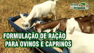 Formulação de Ração para ovinos e caprinos [upl. by Haslam]