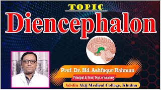 Diencephalon II Prof Dr Md Ashfaqur Rahman II Dept Of Anatomy II AAMC II Online Class II [upl. by Nette]