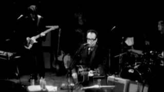 Elvis Costello  Blame It On Cain Live [upl. by Eveivenej]