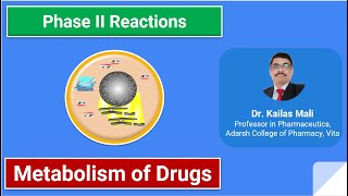 Biotransformation of Drugs ll Phase II Reactions ll Part II [upl. by Yruoc387]