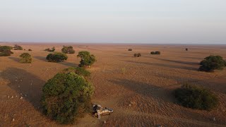 The true remoteness of Bangweulu Swamps Zambia [upl. by Otrebor]