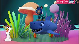 SharkyTune Wonders Baby Sharks Ocean Quest [upl. by Sucitivel879]