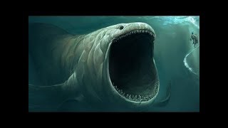 Prehistoric Sharks More Deadly Than The Megalodon [upl. by Thalassa]