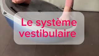 Le système vestibulaire [upl. by Telrats]