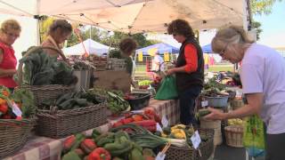 Farmers Markets Advice from Market Masters [upl. by Lemmuela]