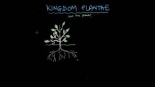 Plant Kingdom  Biological Classification  Biology  Khan Academy [upl. by Ailyt]