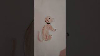 dog doglover viralvideos shortvideos drawing art dogie [upl. by Grim]