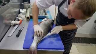 How to fillet a fish  Corvina [upl. by Morgenthaler]