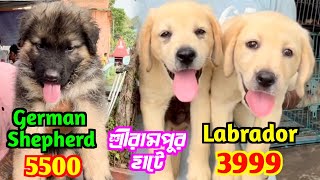 Serampore Pet Market Shrirampur Dog Market Dog Market in Kolkata Price [upl. by Panayiotis]