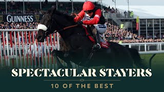 TOP 10 STAYERS HURDLES AT THE CHELTENHAM FESTIVAL [upl. by Risteau]