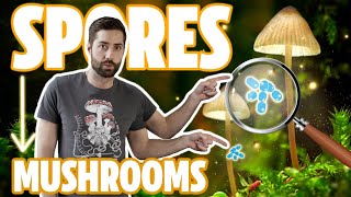 ♻️ Understanding The Mushroom Life Cycle  From Spores To Mycelium To Mushroom And Back Again [upl. by Yahs952]