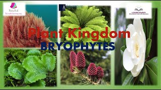 quotBRYOPHYTESquot Class 11 Biology PLANT KINGDOM [upl. by Cleasta]