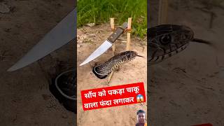 Snake Catching Trap with Knife 😱😱 shorts ytshorts trending shortsvideo HealthDirectindia [upl. by Asilaj804]