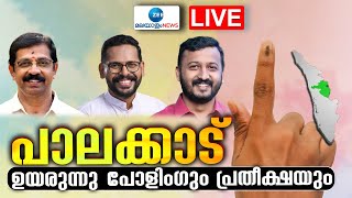 Live Palakkad Byelection 2024  പാലക്കാട് ഉയരുന്നു പോളിംഗും പ്രതീക്ഷയും  Zee Malayalam News [upl. by Welford]