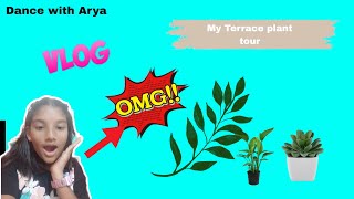 My terrace plant tour 🥰first vlog 🥰 [upl. by Ced]