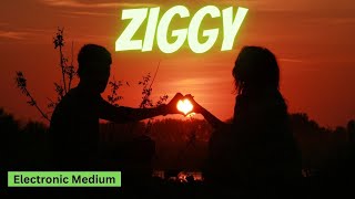 Ziggy Messages From Electronic Medium  RIP Jim [upl. by Lusar988]