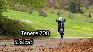 Proviamo questo Teneré 700 Si alza [upl. by Arnon]