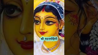 Radha Sahastra Naam Yatra l Radhe Krishna shorts radhakrishna premanandjimaharaj DhwanisSpace [upl. by Aksehcnarf]