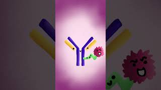 Biological cancertreating missiles cancer fyp science biology medicine immunotherapy [upl. by Mazur]