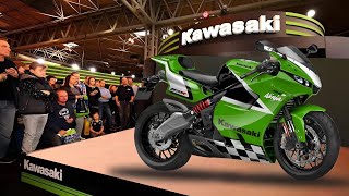 2025 NEW KAWASAKI NINJA ZX10R INTRODUCED [upl. by Terbecki]