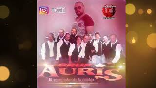 Ahogando penas Grupo Auris [upl. by Nitas]