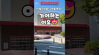 코스트코 11월 03일29일까지 가야하는 이유 costco 코스트코 코스트코할인 코스트코추천상품 코스트코에서꼭사야할것 [upl. by Nath467]