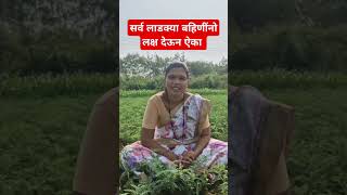 shetkari👑शेतकरीfarmingfarmlifevillagelifeshortsfarmermarathimulgiytshortviralshorttrending [upl. by Sedda]