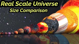 Star Size in Perspective  3d Animation Size Comparison 2024 [upl. by Piggy]