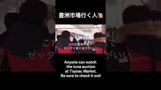 【豊洲市場】マグロの競り見学は見る場所でこんなにちがうよ！Toyosu Market You can watch the tuna auction Toyosu 豊洲市場 東京観光 [upl. by Narual]