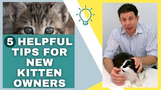 Five things to know before getting a kitten [upl. by Ruhtracam]