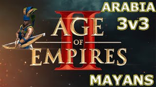 Plumed Archer OP  3v3 Arabia2v3  Age Of Empires 2  Mayans [upl. by Melentha]