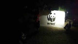 WWF Sicilia NO Tempio di Segesta WWF Earth Hour 2024 [upl. by Danyelle]