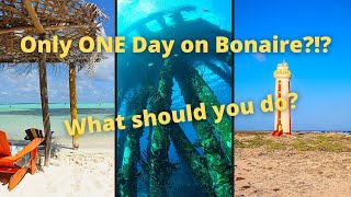 What to do with only ONE day on Bonaire [upl. by Magdala]