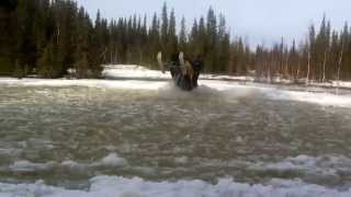 Ski doo rev 440800 wheelie [upl. by Odnalro]