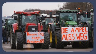 Deshalb protestieren Bauern und andere gerade [upl. by Cherilynn]