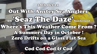 Seaz the Daze 28th Oct 24 Where Did This Weather Come From A Summers Day in October [upl. by Ardekahs367]