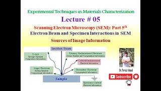 Sources of Image Information in Scanning Electron Microscopy SEM [upl. by Aivekahs]