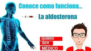 Aldosterona ¿Cómo actúa en tu cuerpo [upl. by Allertse]