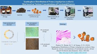 Boosting Nemos Brightness The Role of Carotenoids [upl. by Mcmath]