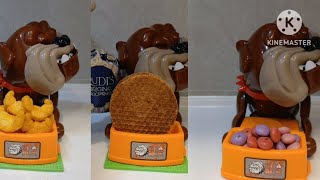 ASMR🏄PLACING CHOCOLATE STROOPWAFELS DRIED MANGO MIXEDNUTS CHIPS CHEESEBISCUIT IN MADDOG PLATE [upl. by Croom]